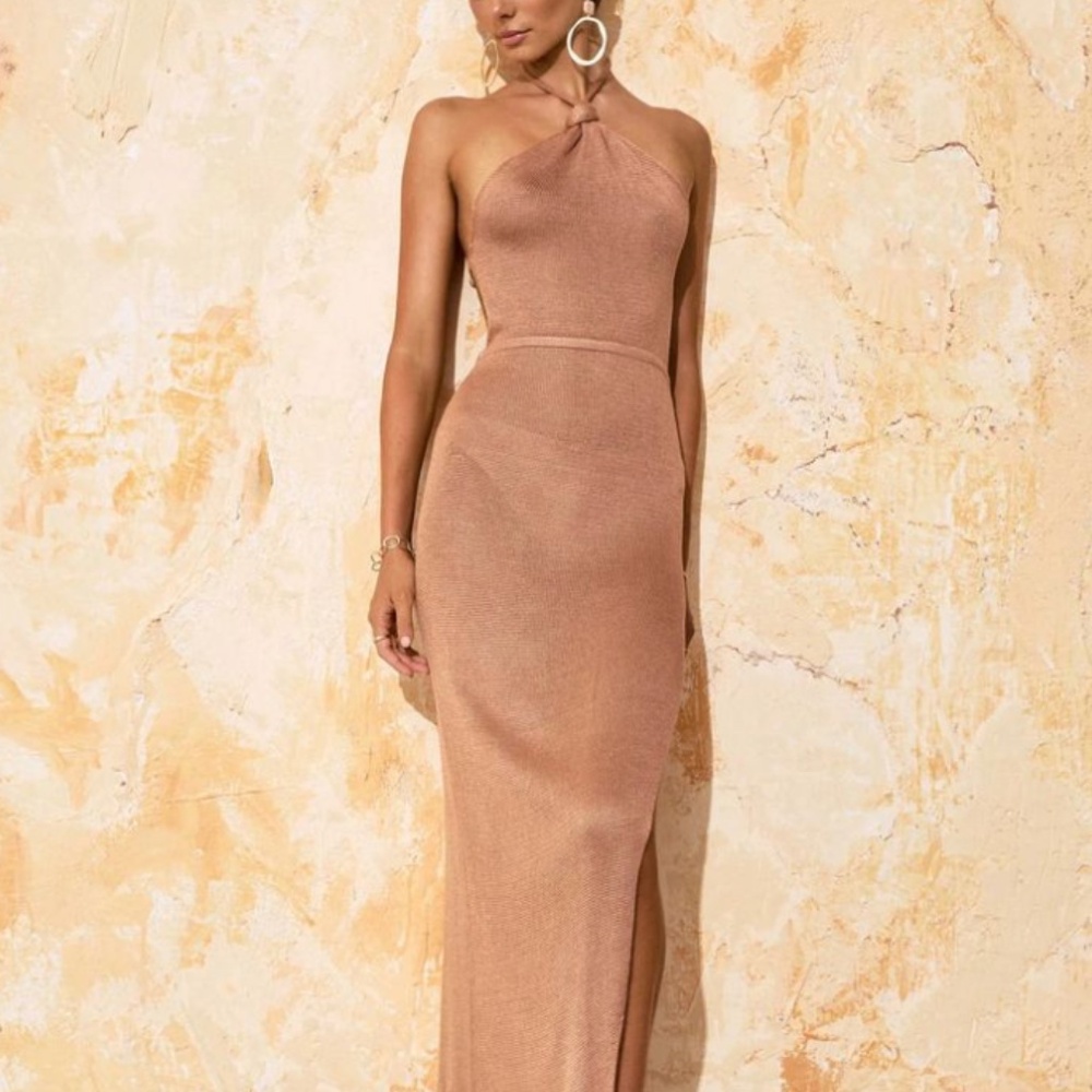 NWOT Flook the Label Hallie Dress in Blush - Size Small